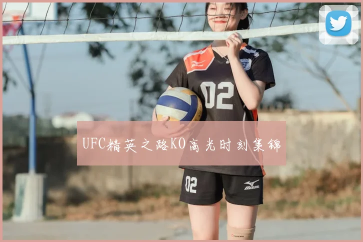 UFC精英之路KO高光时刻集锦