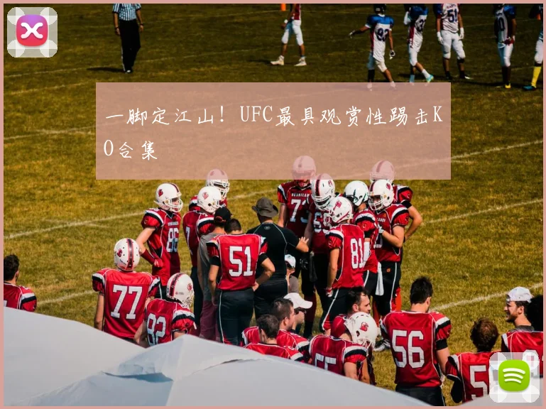 一脚定江山！UFC最具观赏性踢击KO合集