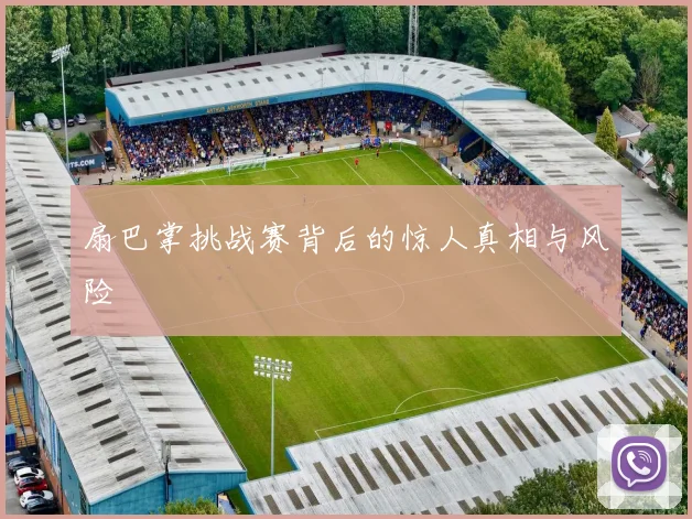 扇巴掌挑战赛背后的惊人真相与风险