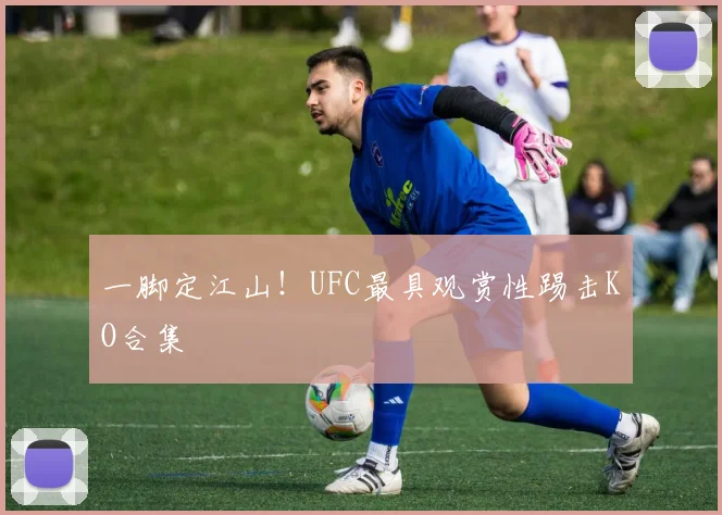 一脚定江山！UFC最具观赏性踢击KO合集