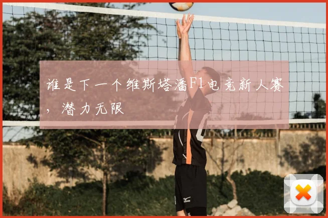 谁是下一个维斯塔潘F1电竞新人赛，潜力无限