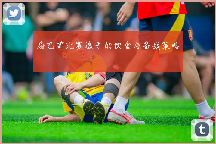 扇巴掌比赛选手的饮食与备战策略